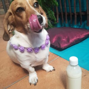 Kefir Magic Milkshake 250ml