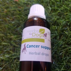 Cancer Support