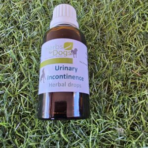 Urinary Incontinence