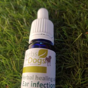 Ear Infection
