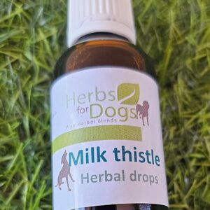 Milk Thistle