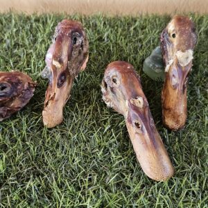 Duck Heads