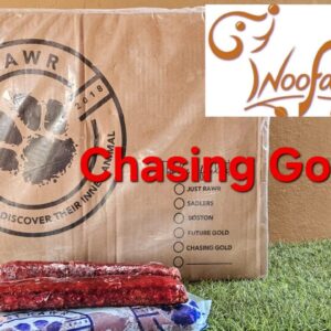 Chasing Gold 10,8kg