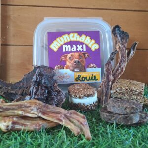 Munchable Maxi Lunchbox