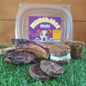 Munchable Mini Lunchbox