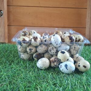Quail Egg Punnet